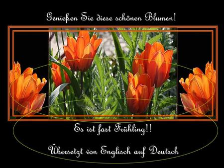 Genießen Sie diese schönen Blumen!