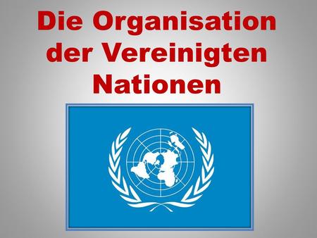 Die Organisation der Vereinigten Nationen