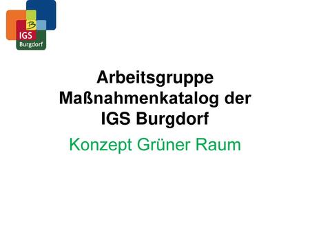 Arbeitsgruppe Maßnahmenkatalog der IGS Burgdorf