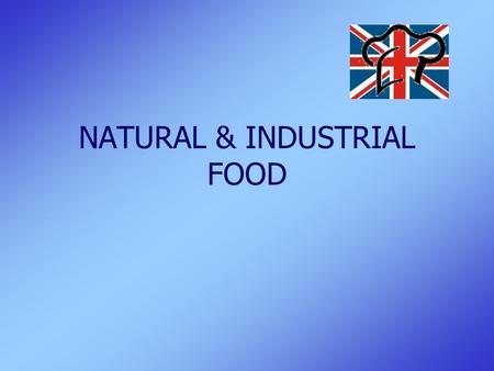 NATURAL & INDUSTRIAL FOOD. Natural & Industrial Food2 TIMELINE & ORGANIZATION  2 groups of 11 pupils  2 lessons per week (120 min)  4 lessons in each.