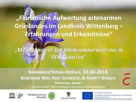 „Floristische Aufwertung artenarmen Grünlandes im Landkreis Wittenberg – Erfahrungen und Erkenntnisse“ „Modellprojekt zur Grünlandaufwertung in FFH-Gebieten“