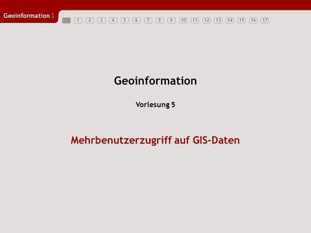 Mehrbenutzerzugriff auf GIS-Daten