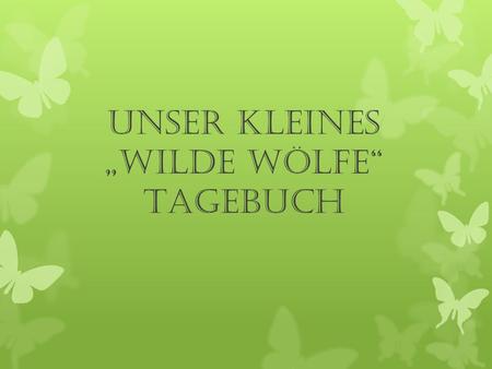 Unser kleines „Wilde Wölfe“ Tagebuch. JUNI 2013 UNSER ERSTES TREFFEN DAS INSEKTENHOTEL AUF DEM KUNIGUNDENBERG HABEN WIR MIT STROH, BAUMRINDE UND ZAPFEN.