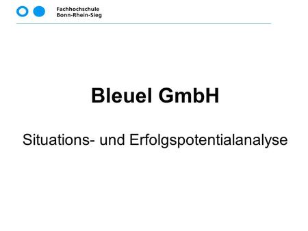 Bleuel GmbH Situations- und Erfolgspotentialanalyse