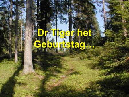 Dr Tiger het Geburtstag…. Elefant Giraff Bär Hamschter.