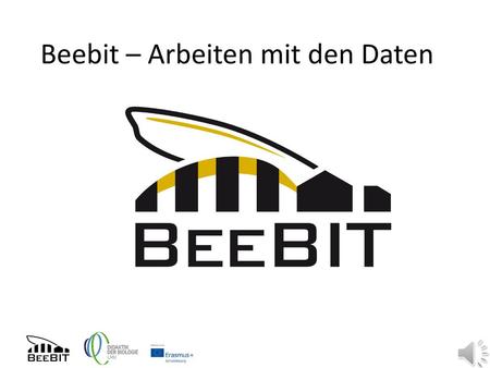 Beebit – Arbeiten mit den Daten