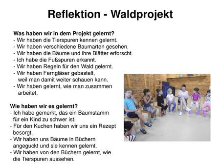 Reflektion - Waldprojekt