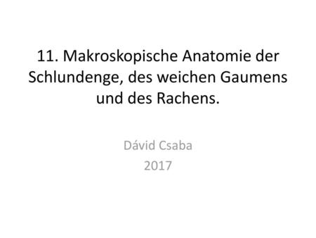 11. Makroskopische Anatomie der Schlundenge, des weichen Gaumens und des Rachens. Dávid Csaba 2017.
