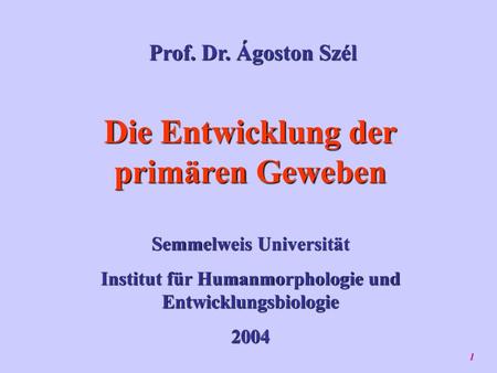 Die Entwicklung der primären Geweben