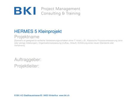 Auftraggeber: Projektleiter: