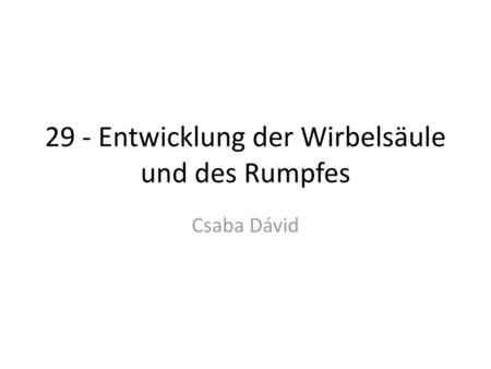 29 - Entwicklung der Wirbelsäule und des Rumpfes