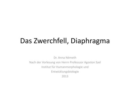 Das Zwerchfell, Diaphragma