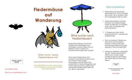 Fledermäuse auf Wanderung