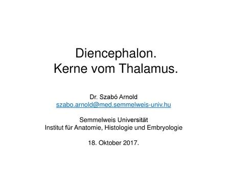Diencephalon. Kerne vom Thalamus.