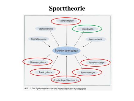 Sporttheorie.