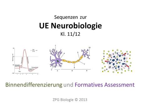 Sequenzen zur UE Neurobiologie Kl. 11/12