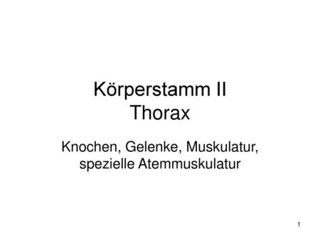 Knochen, Gelenke, Muskulatur, spezielle Atemmuskulatur