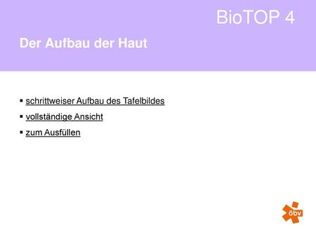 Der Aufbau der Haut schrittweiser Aufbau des Tafelbildes