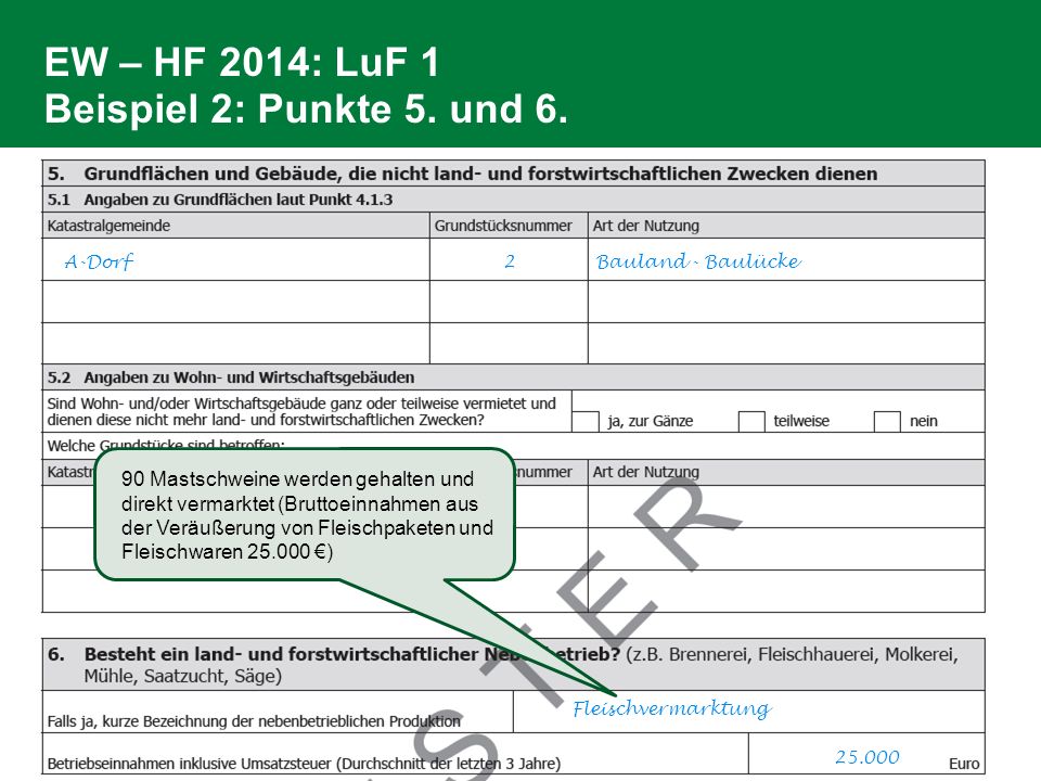 EW – HF 2014: LuF 1 Beispiel 2: Punkte 5. und 6.