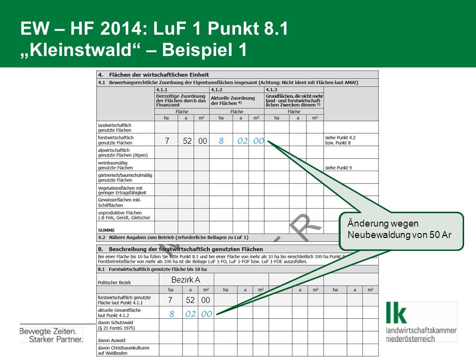 EW – HF 2014: LuF 1 Punkt 8.1 „Kleinstwald – Beispiel 1