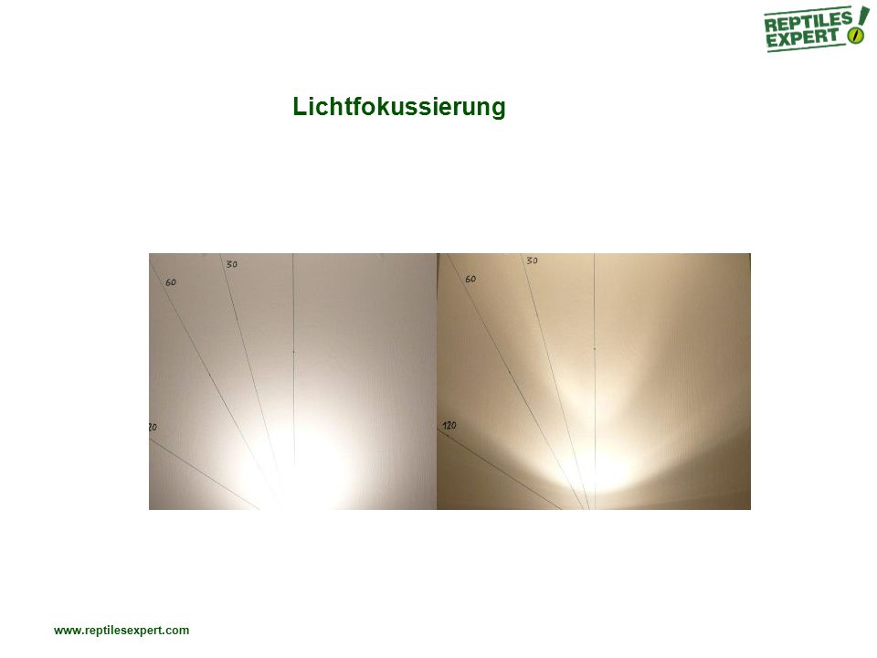 Lichtfokussierung
