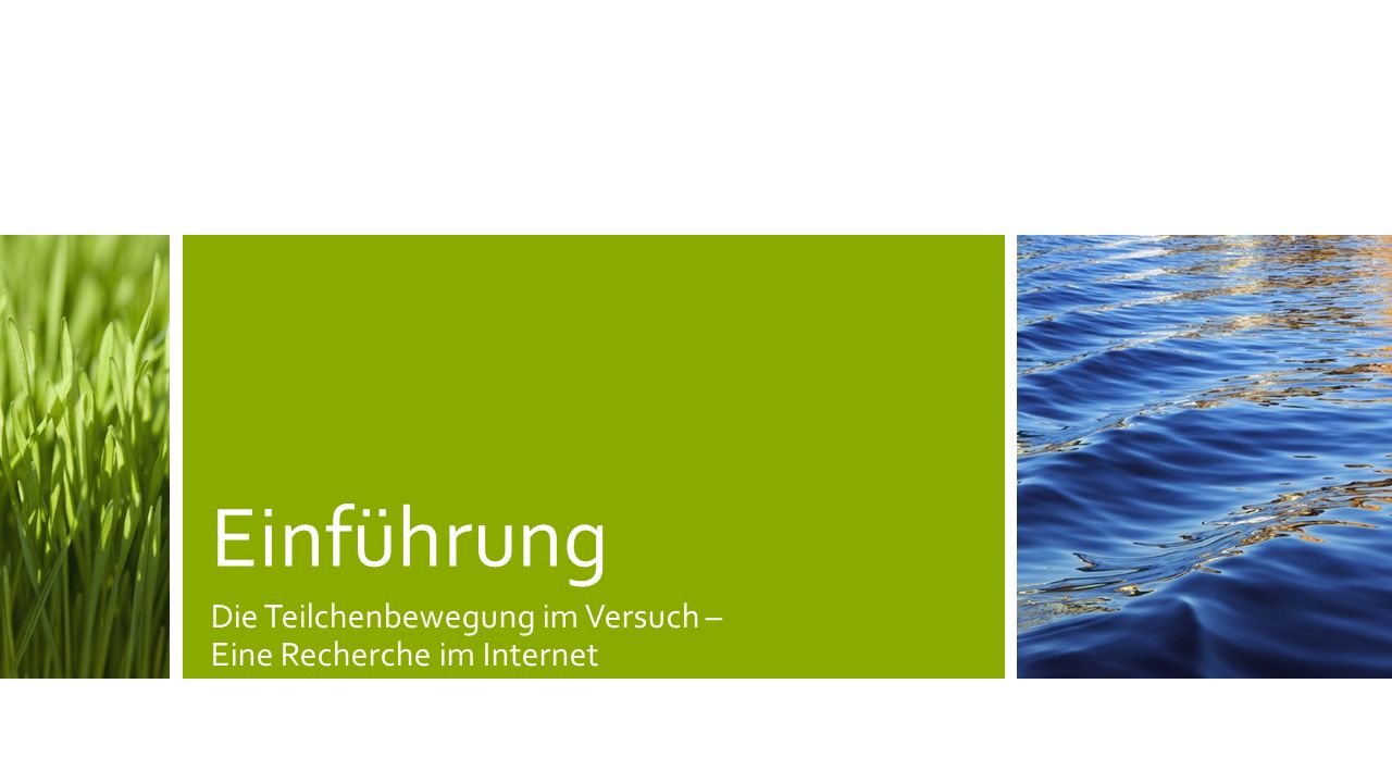 Einführung Die Teilchenbewegung im Versuch – Eine Recherche im Internet