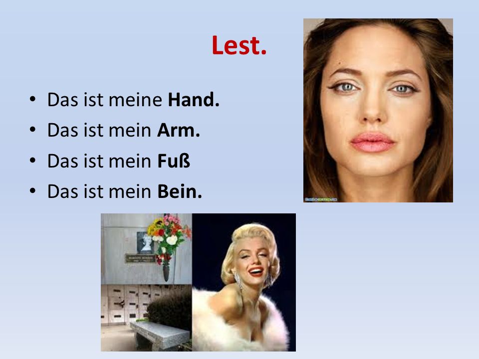 Lest. Das ist meine Hand. Das ist mein Arm. Das ist mein Fuß