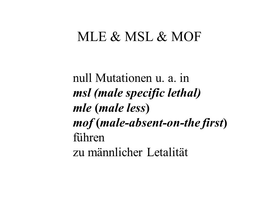 MLE & MSL & MOF null Mutationen u. a. in msl (male specific lethal)
