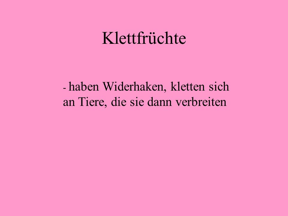 Klettfrüchte haben Widerhaken, kletten sich an Tiere, die sie dann verbreiten