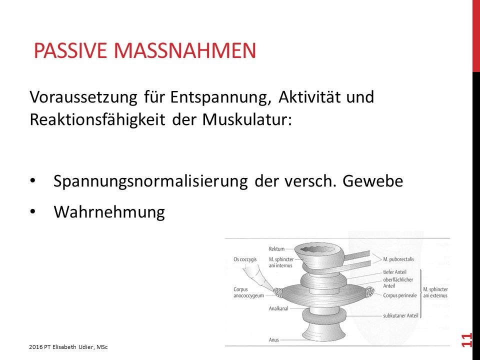 passive massnahmen Voraussetzung für Entspannung, Aktivität und Reaktionsfähigkeit der Muskulatur: