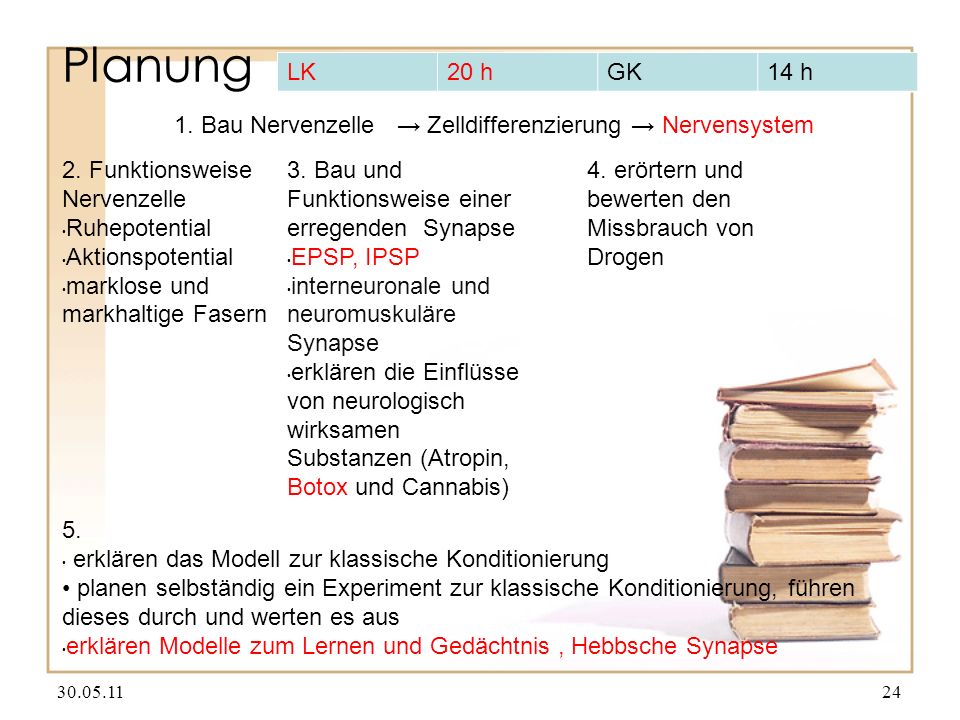 Planung LK. 20 h. GK. 14 h. 1. Bau Nervenzelle → Zelldifferenzierung → Nervensystem. 2. Funktionsweise Nervenzelle.