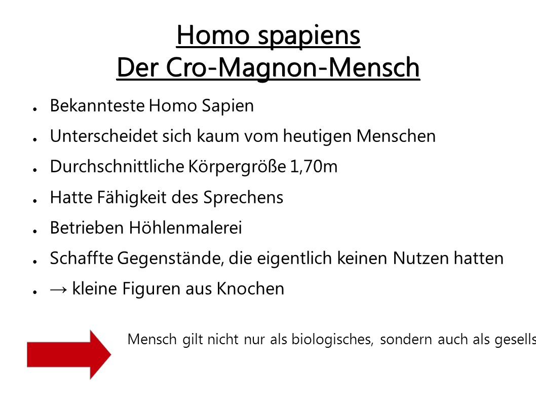 Homo spapiens Der Cro-Magnon-Mensch