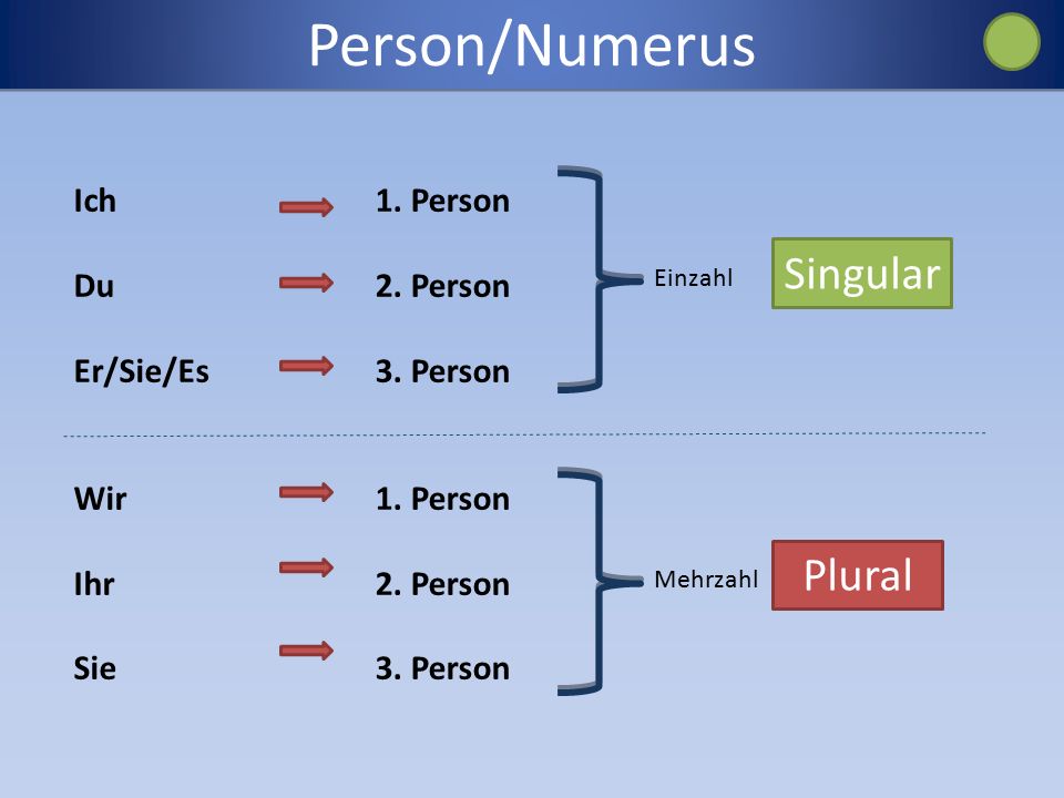 Person plural. Numerus. Numerus латынь. 2 Person singular немецкий.