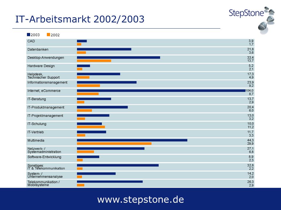 IT-Arbeitsmarkt 2002/2003