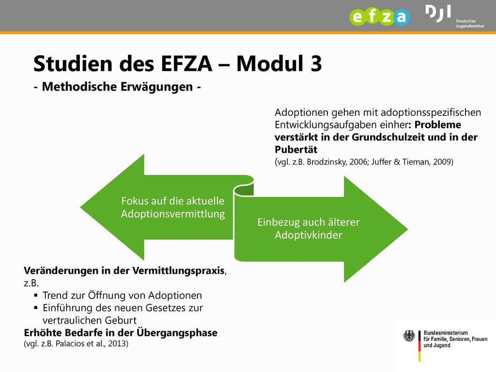 Studien des EFZA – Modul 3 - Methodische Erwägungen -