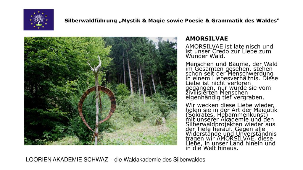 Silberwaldführung „Mystik & Magie sowie Poesie & Grammatik des Waldes