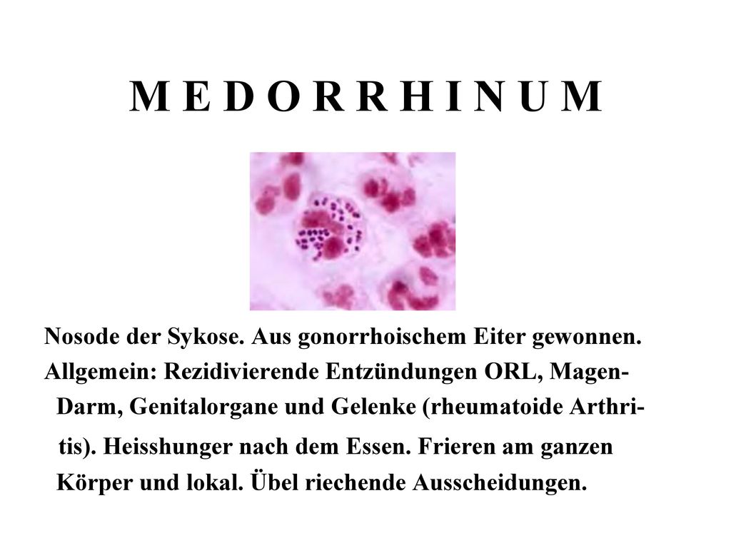 M E D O R R H I N U M Nosode der Sykose. Aus gonorrhoischem Eiter gewonnen. Allgemein: Rezidivierende Entzündungen ORL, Magen-