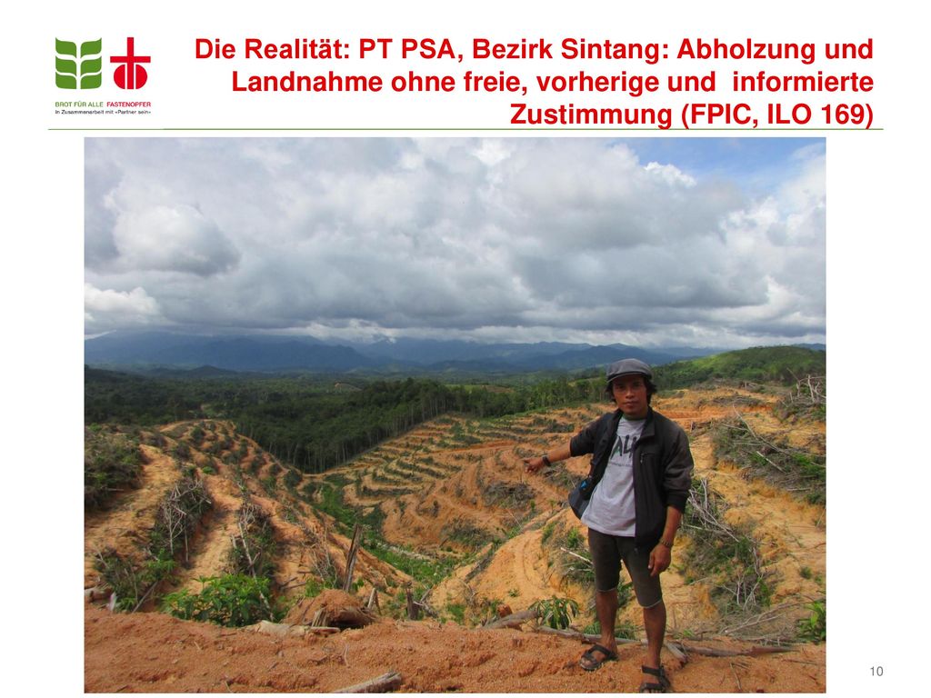Die Realität: PT PSA, Bezirk Sintang: Abholzung und Landnahme ohne freie, vorherige und informierte Zustimmung (FPIC, ILO 169)
