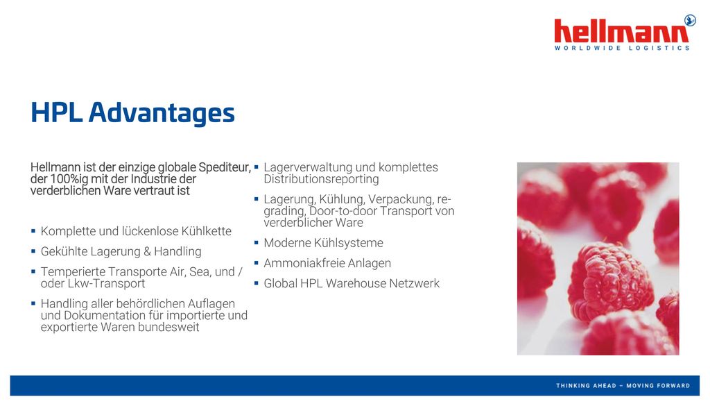 HPL Advantages Hellmann ist der einzige globale Spediteur, der 100%ig mit der Industrie der verderblichen Ware vertraut ist.