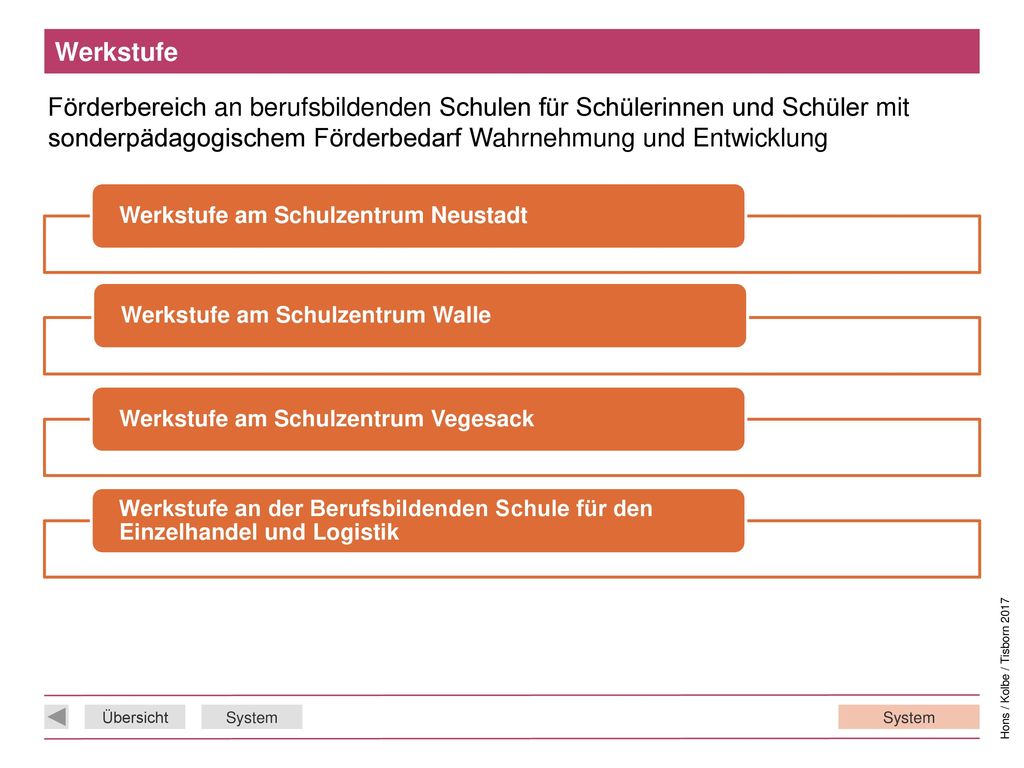 Werkstufe Förderbereich an berufsbildenden Schulen für Schülerinnen und Schüler mit sonderpädagogischem Förderbedarf Wahrnehmung und Entwicklung.