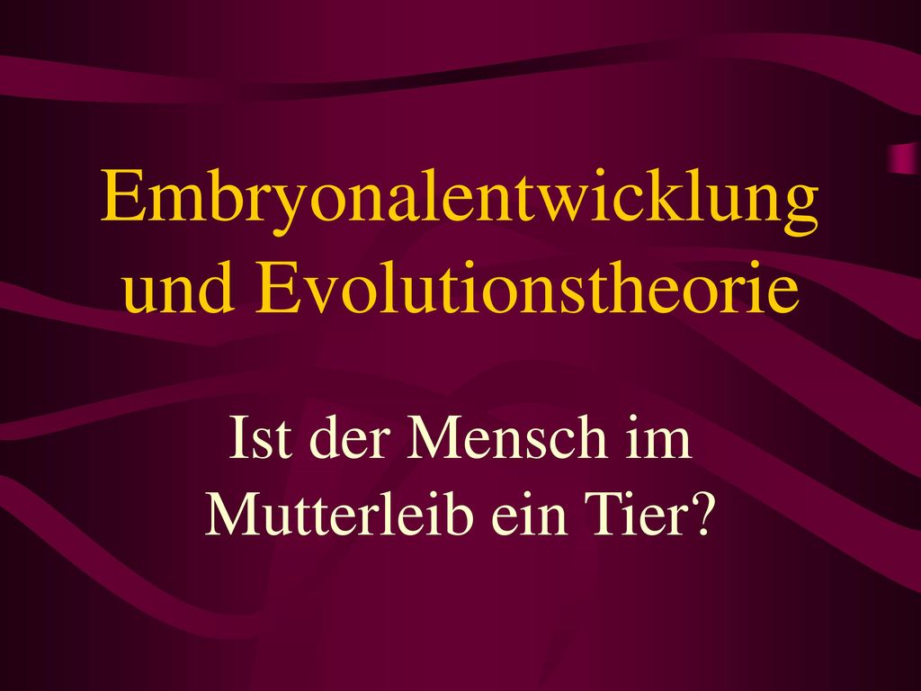 Embryonalentwicklung und Evolutionstheorie