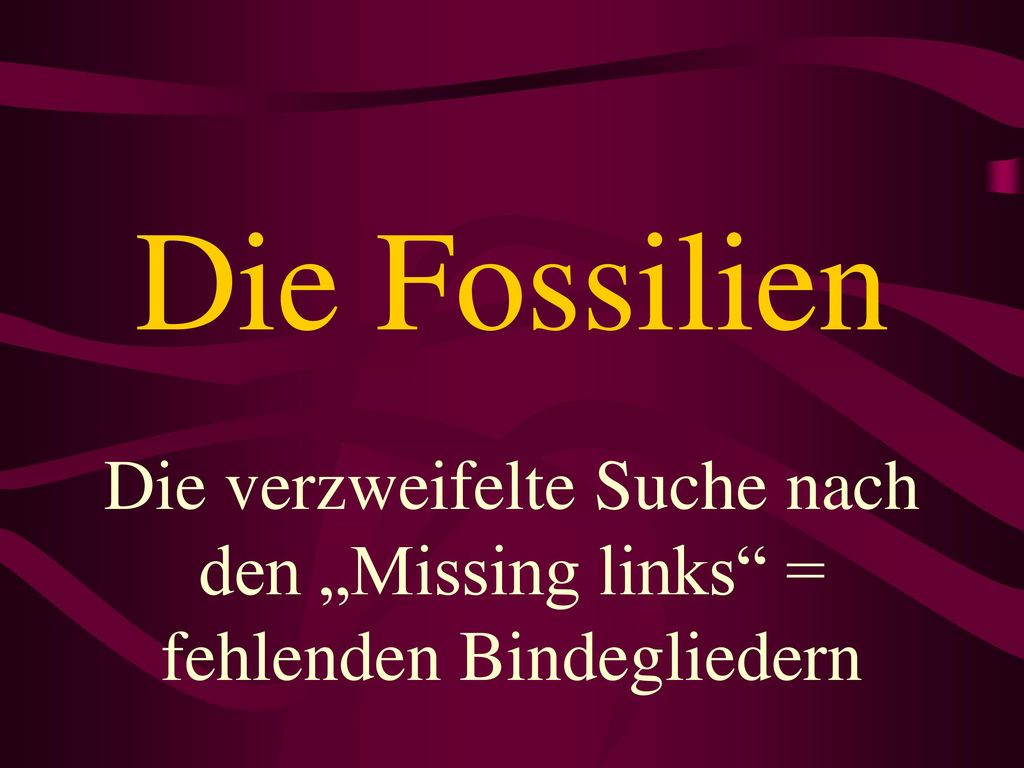 Die Fossilien Die verzweifelte Suche nach den „Missing links = fehlenden Bindegliedern
