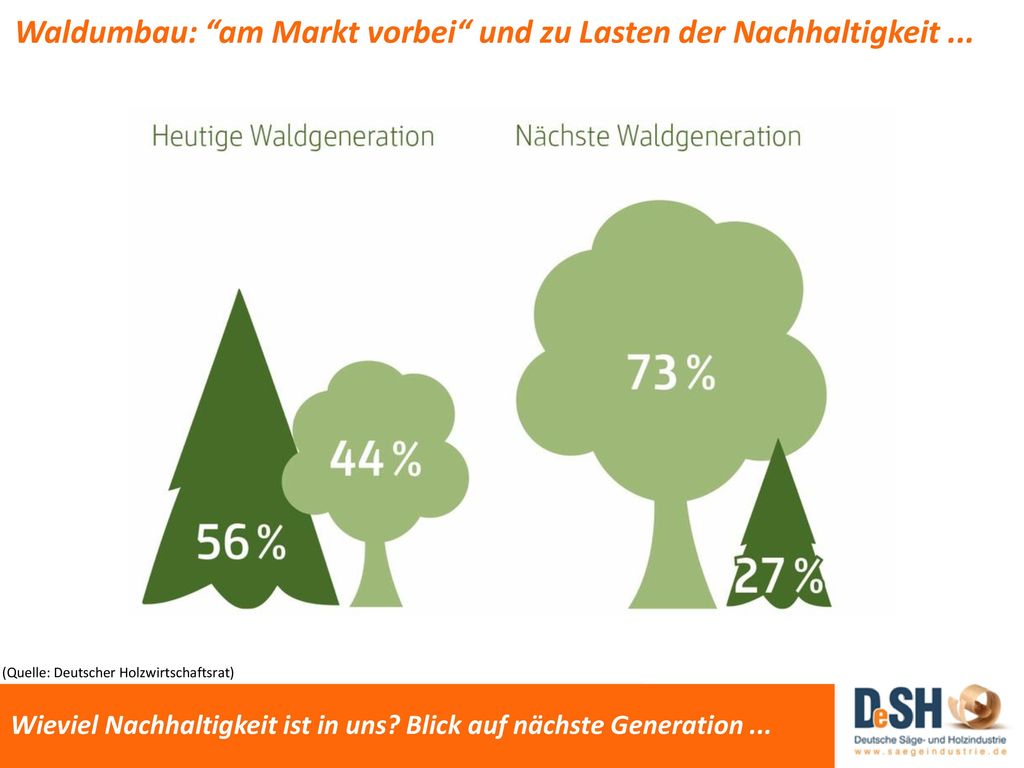 Der Fokus liegt in unseren „Wettbewerbsländern aktuell und in Zukunft auf Nadelholz