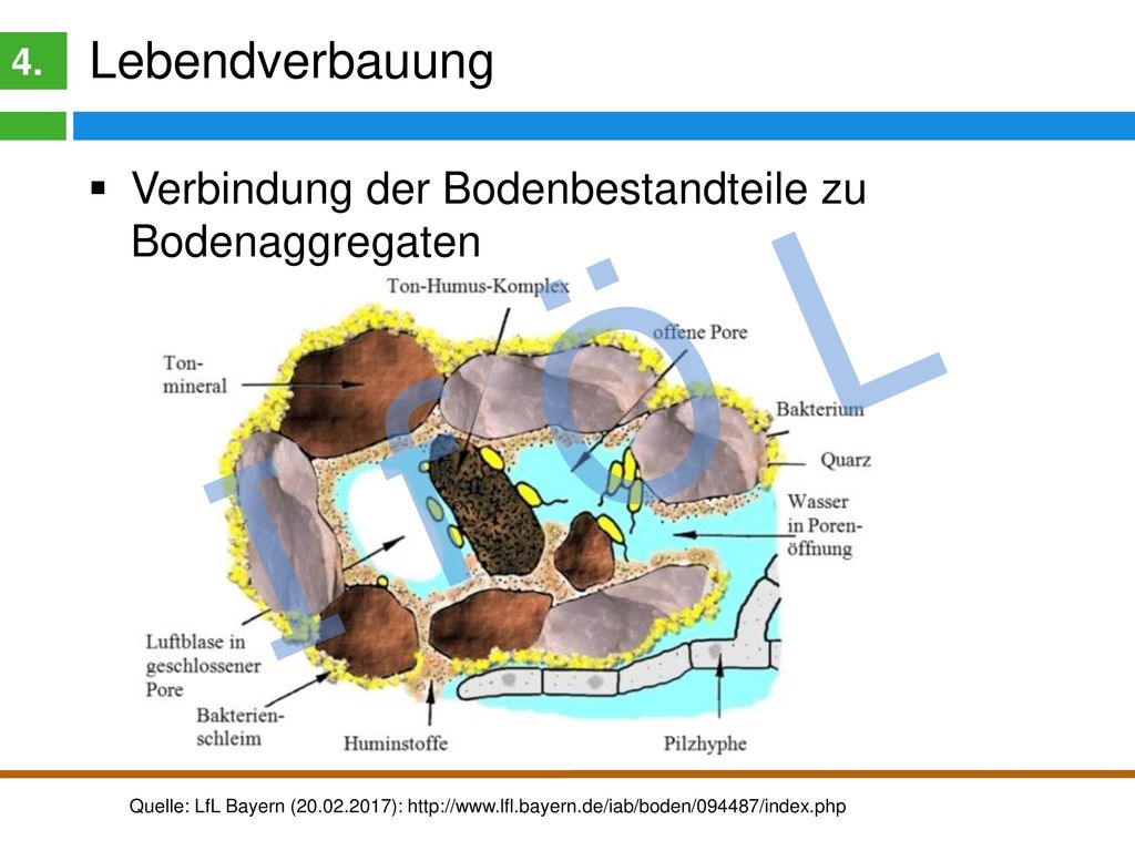 I f Ö L Humusgehalte im Boden Typische Humusgehalte hessischer Böden