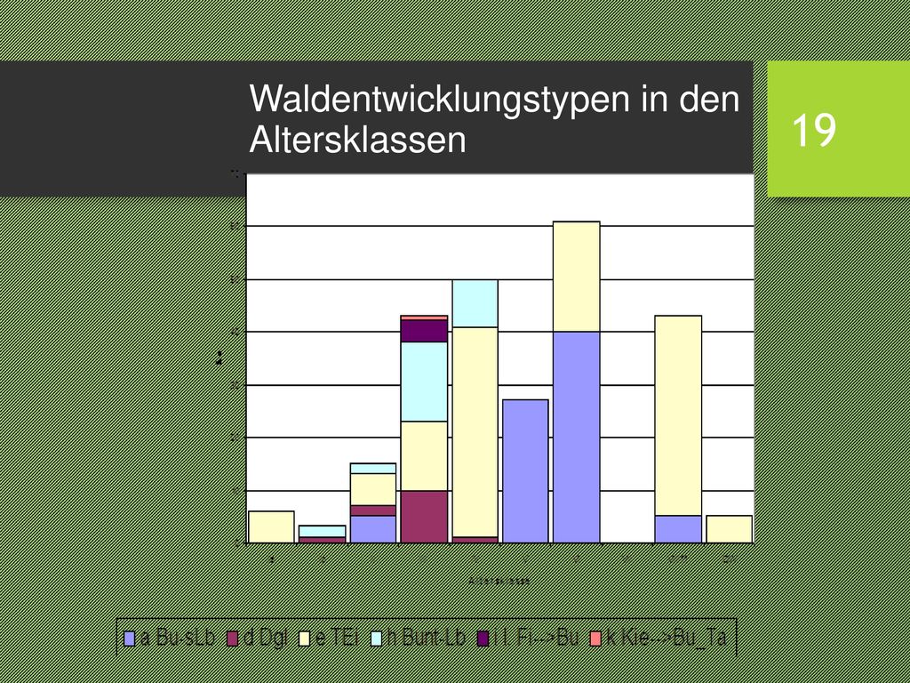 Waldentwicklungstypen in den Altersklassen