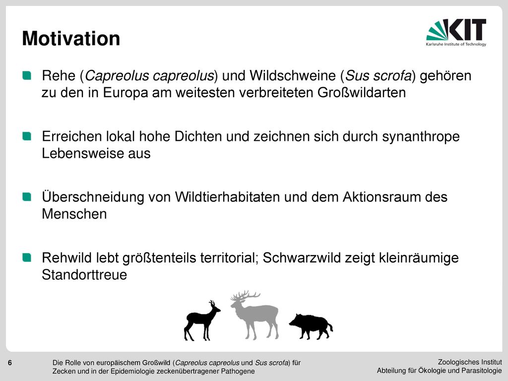 Motivation Rehe (Capreolus capreolus) und Wildschweine (Sus scrofa) gehören zu den in Europa am weitesten verbreiteten Großwildarten.