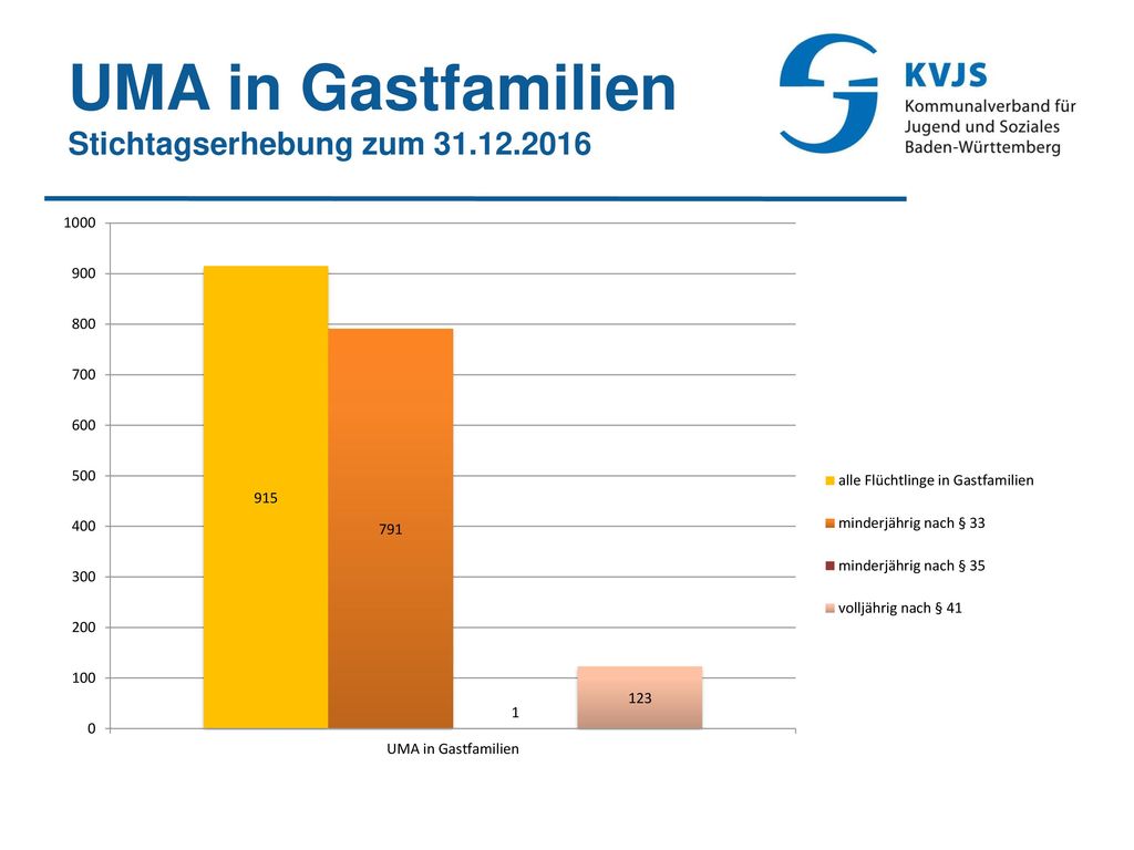 UMA in Gastfamilien Stichtagserhebung zum