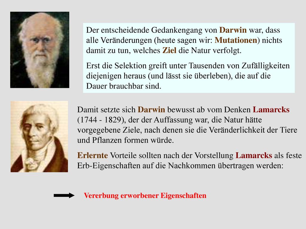 Der entscheidende Gedankengang von Darwin war, dass alle Veränderungen (heute sagen wir: Mutationen) nichts damit zu tun, welches Ziel die Natur verfolgt.
