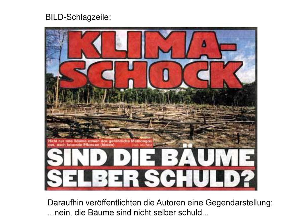 BILD-Schlagzeile: Daraufhin veröffentlichten die Autoren eine Gegendarstellung: ...nein, die Bäume sind nicht selber schuld...