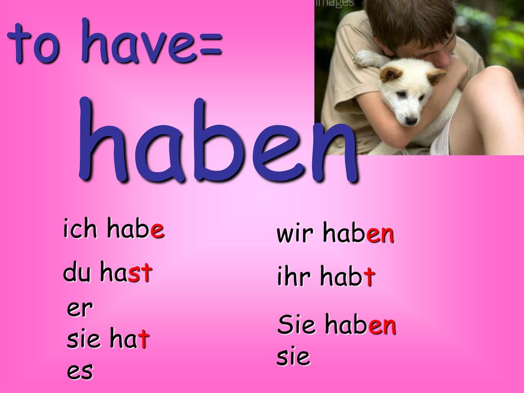 haben to have= ich habe wir haben du hast ihr habt er sie hat es